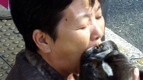 asian dog sex|Asian Bestiality Videos .